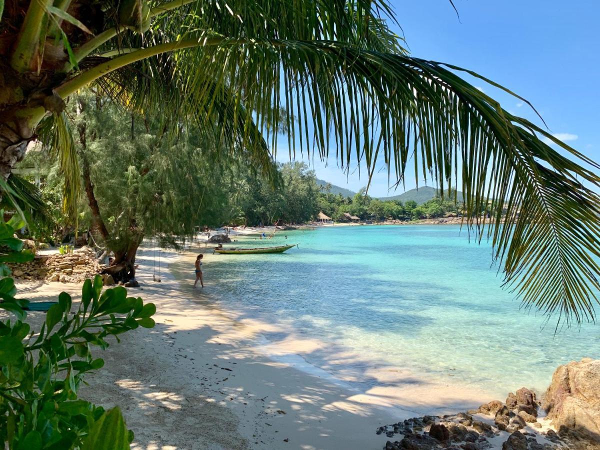 Séjour à la campagne Coconut *